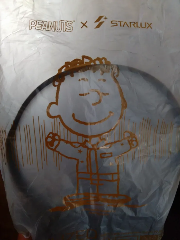 可愛到捨不得拆開的耳機袋