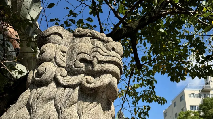 圖片來源：個人攝影