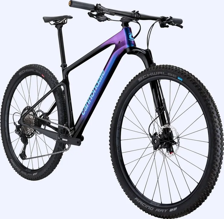 [鐵馬入手記錄] - Cannondale Bad Boy2