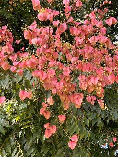 小城故事@痞客邦