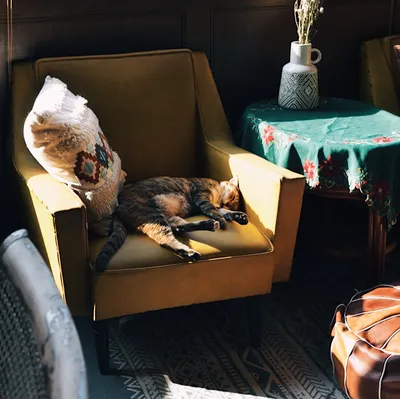 來自荒謬世界中的呼喊