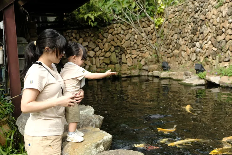 還不太會「丟」飼料，只能放在自己腳邊附近