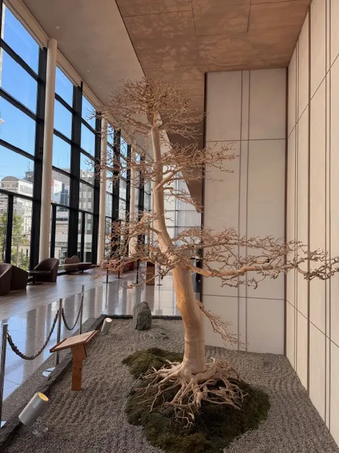 松樹，photo by bookarchery