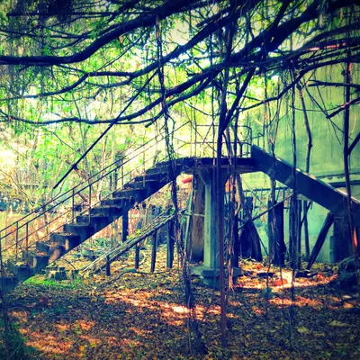 數位房仲 Tsùn Sîng｜地產﹍法律﹊文化的沙龍