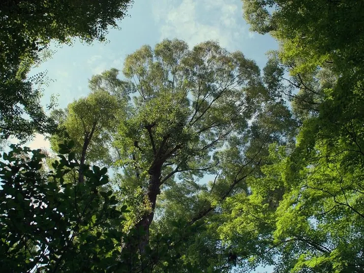 《我的完美日常》劇照/來源:IMDb  