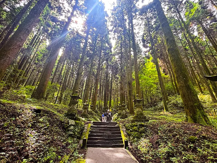 林木參天的參道(自行拍攝)
