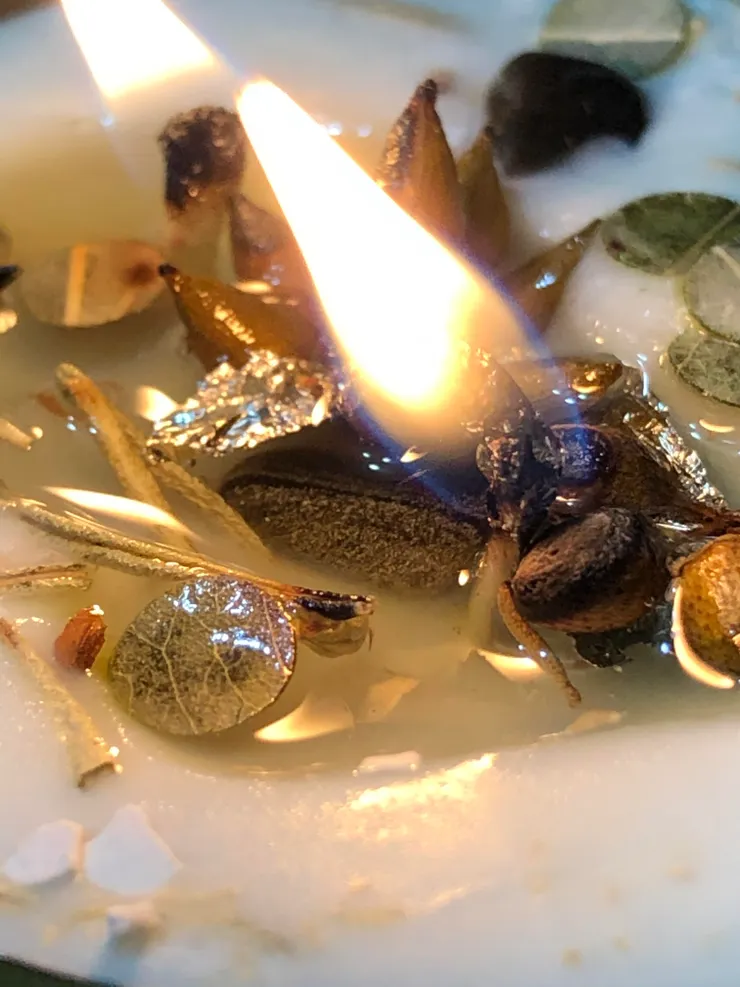 剛燃燒的模樣與舖面植物近看