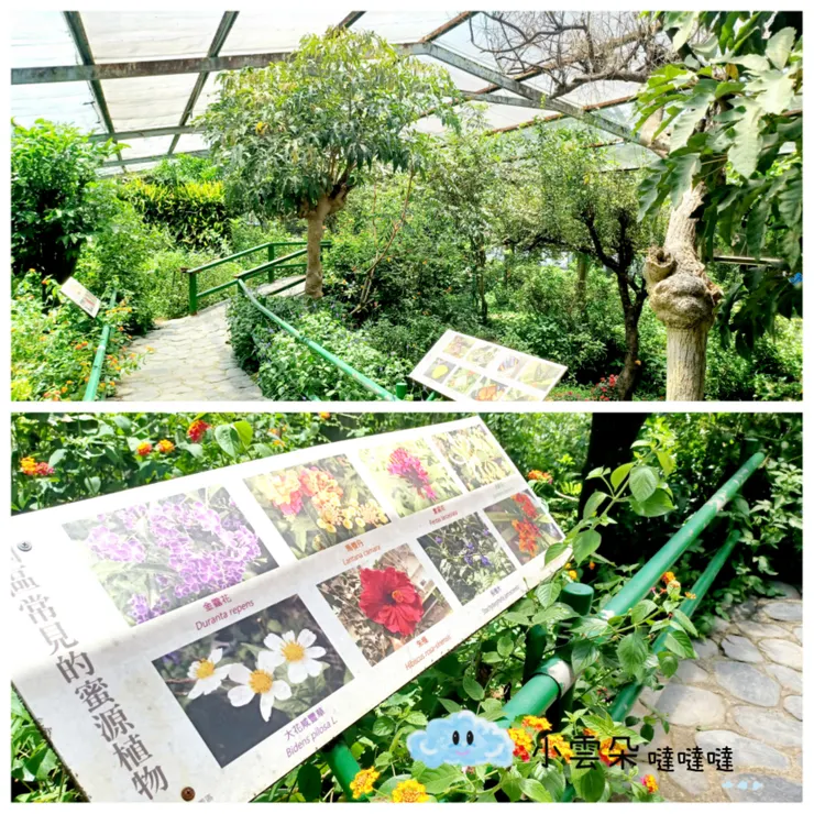 園區內綠意盎然，有許多樹木和蜜源植物