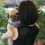 八哥小栗的沙龍