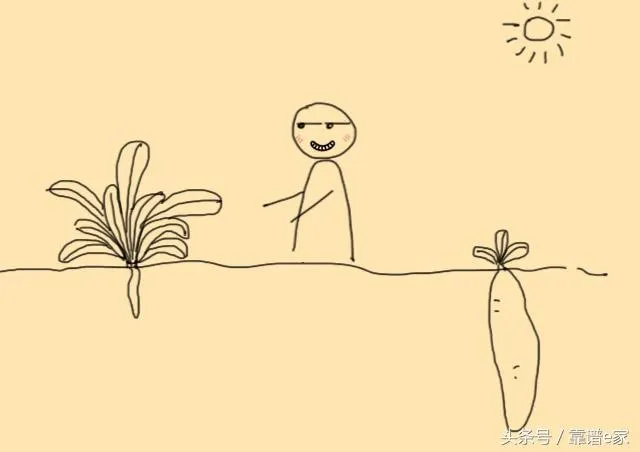 「柔弱勝剛強」,葉子茂盛不一定根部碩大!