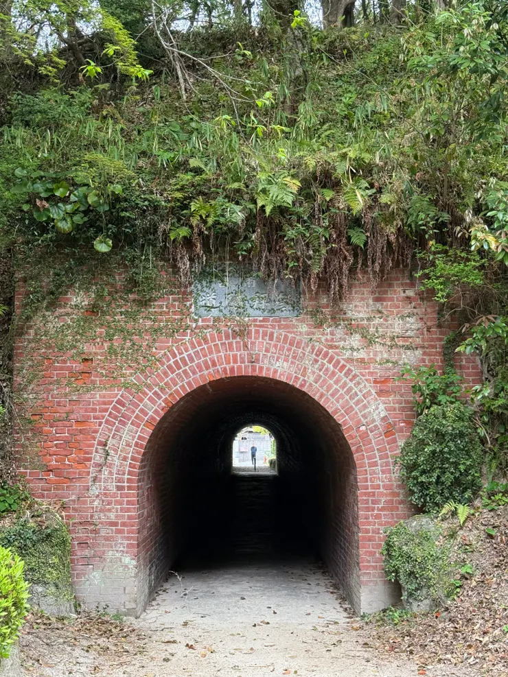 傳過隧道直到縣道