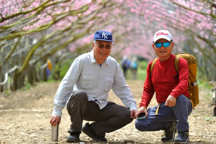 【桃花廊靠鐵桿撐起出乎意料 遠攝近拍費心截取最佳樣貌】