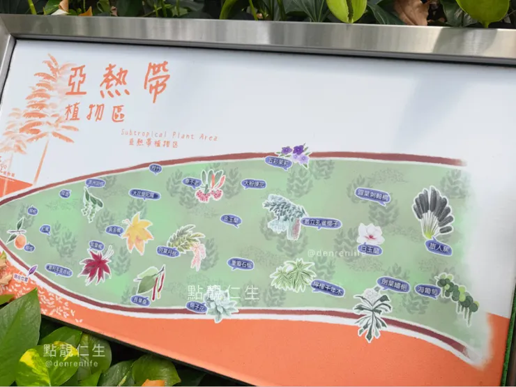 亞熱帶區｜台北典藏植物園