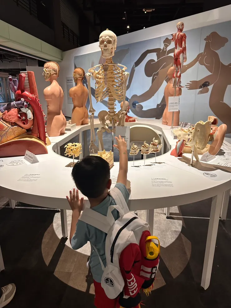 蘇打:我可以把骷顱頭帶回家嗎?