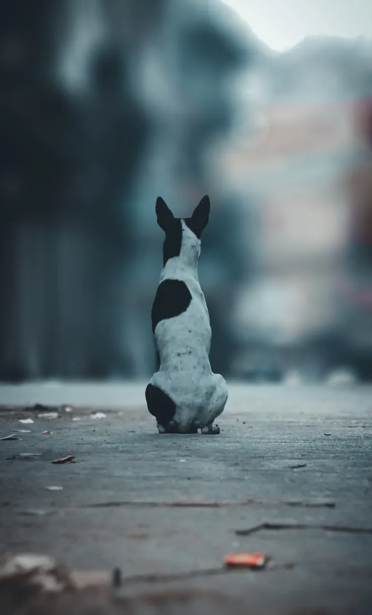Photo by yash rai on Unsplash