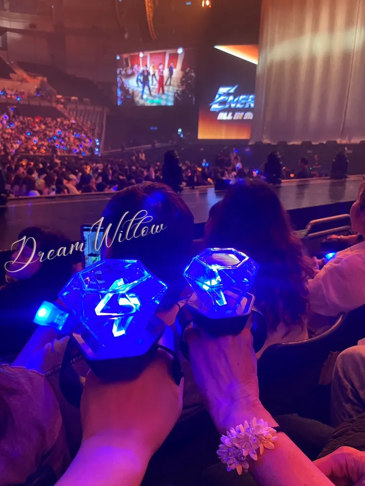 買了兩個手燈，和媽媽一起high～