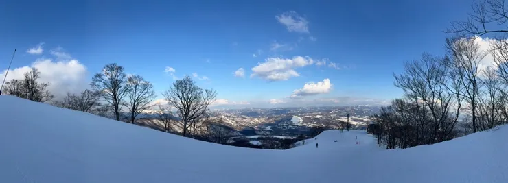 於Takasu Park高處拍的全景圖。