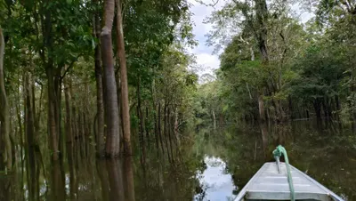  台灣大叔亞馬遜叢林探險之旅