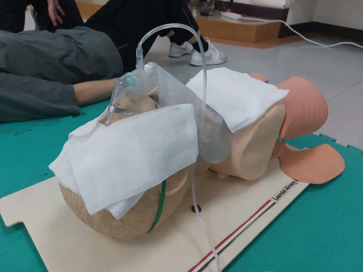 面對千奇百怪狀況的安妮們