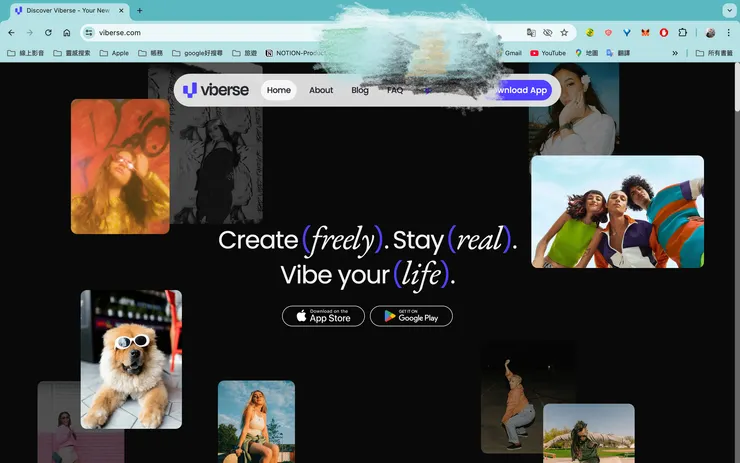 Viberse _ 1