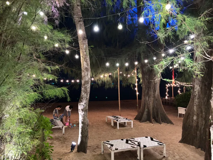 沙灘上的巨木與燈火相映成一個奇美的世界