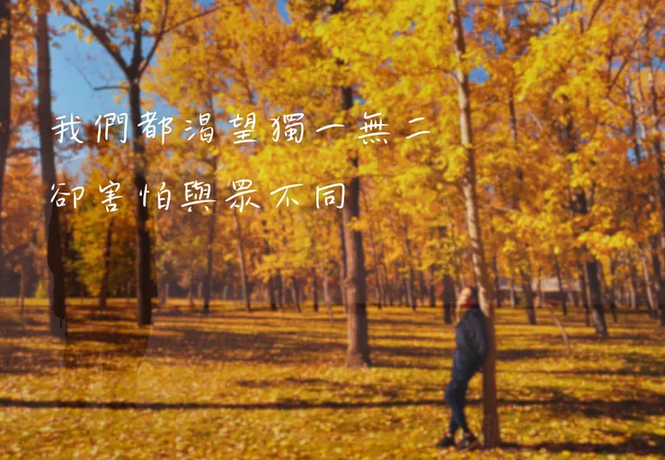 我們都渴望獨一無二，卻害伯與眾不同。