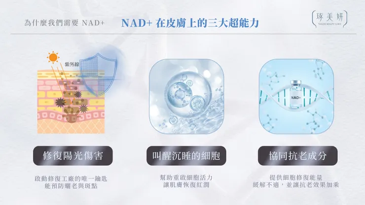 NAD+ 擦在臉上真的有效嗎？從「吃的」到「擦的」，揭開細胞級護膚的真面目！
