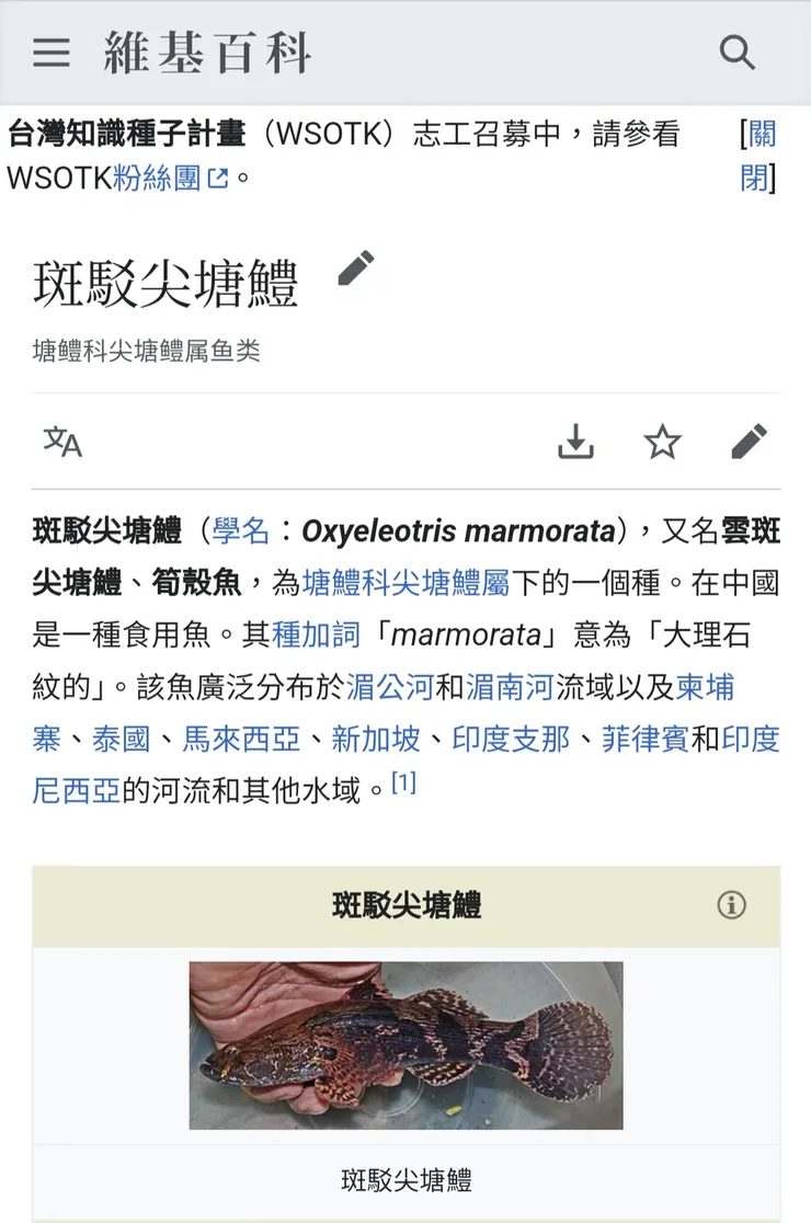 取材自維基百科