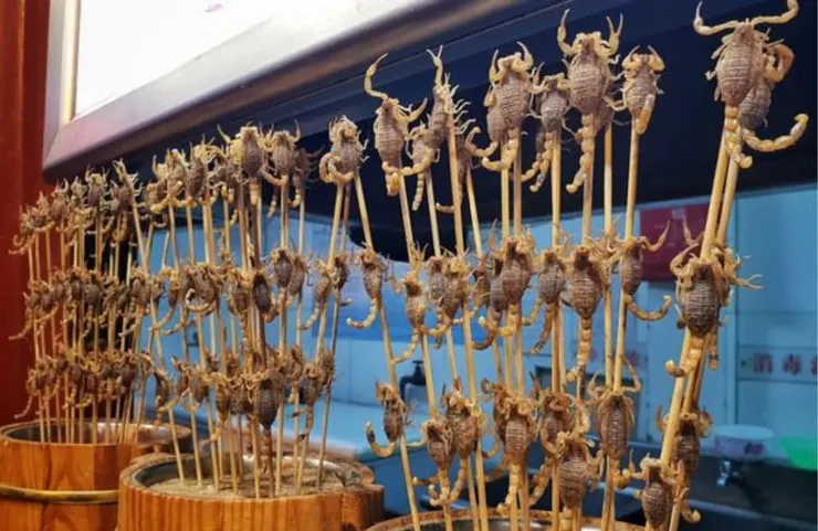 異國情調的街頭小吃@Katvillcaptures/Pinterest