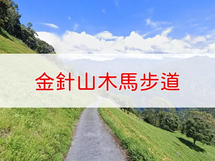 【台東】金針山木馬步道 | 全長里程:7公里 | 難易度:低