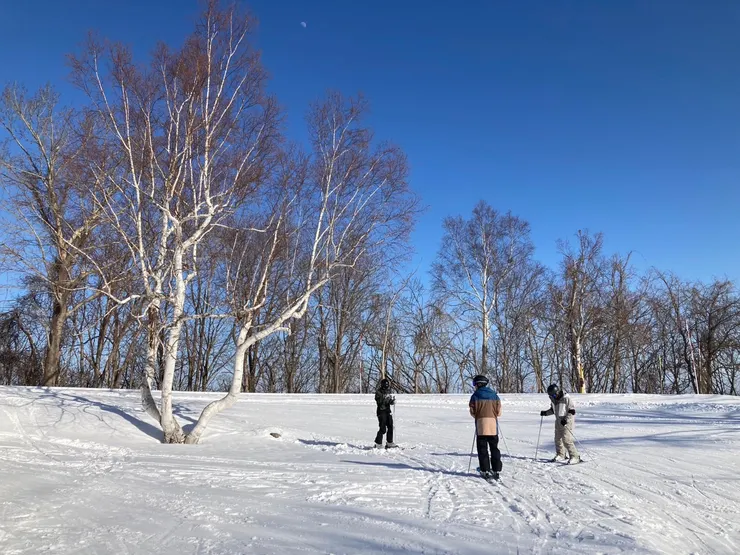 觀光道路雪道上轉彎處的那棵樹