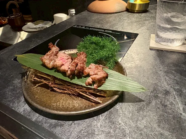 山形縣橫膈膜