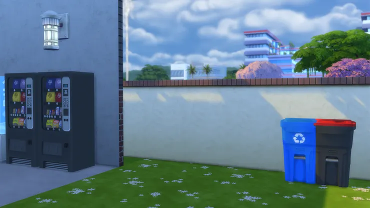 這道牆後有條小路,通向後門。