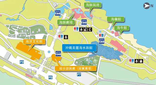 圖片來源:https://churaumi.okinawa/tc/haisai/