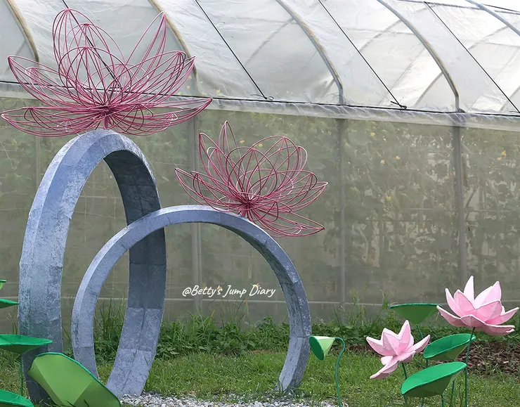 ▲2024桃園蓮花季/圖片來源:Betty's Jump Diary