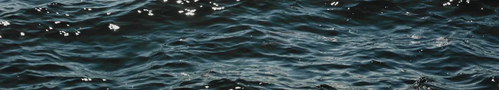 蘇涯｜人生不論「輸贏」的沙龍