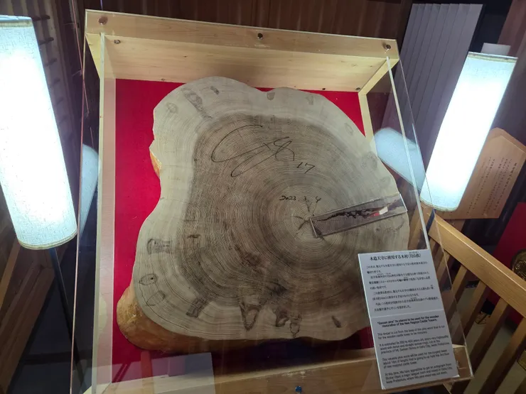 展示天守閣所使用的木材-月山松