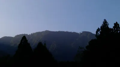 札記_那段我偷偷想念的日子