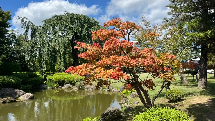 亮橘與紅的色調在綠意中格外醒目。