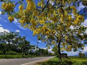 花蓮山海騎遇記KOL吳俊星領騎193