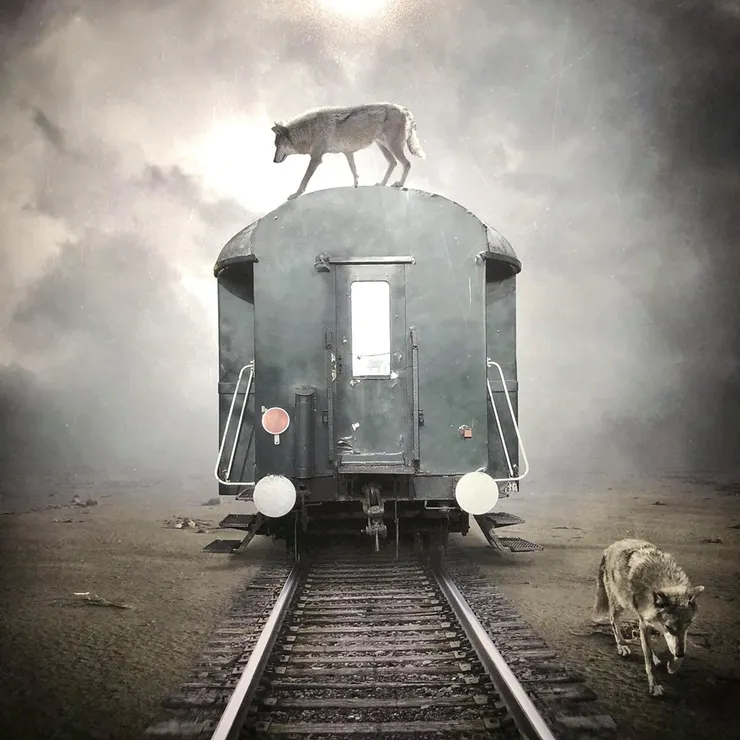 現代美術館展覽作品