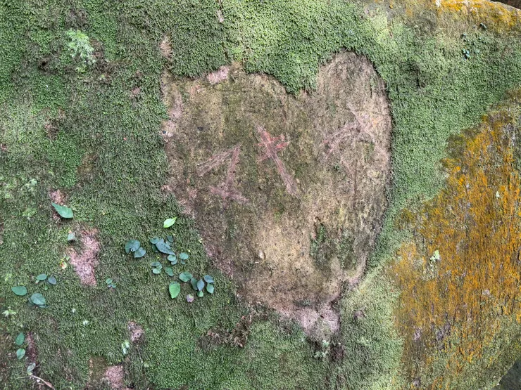 岩石記錄著時間,苔蘚為它披上綠意的新衣