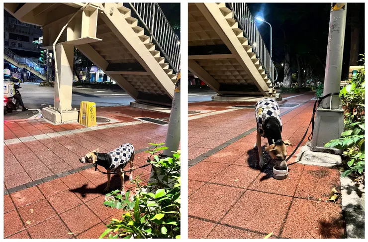 今天挑了天橋下方待轉區