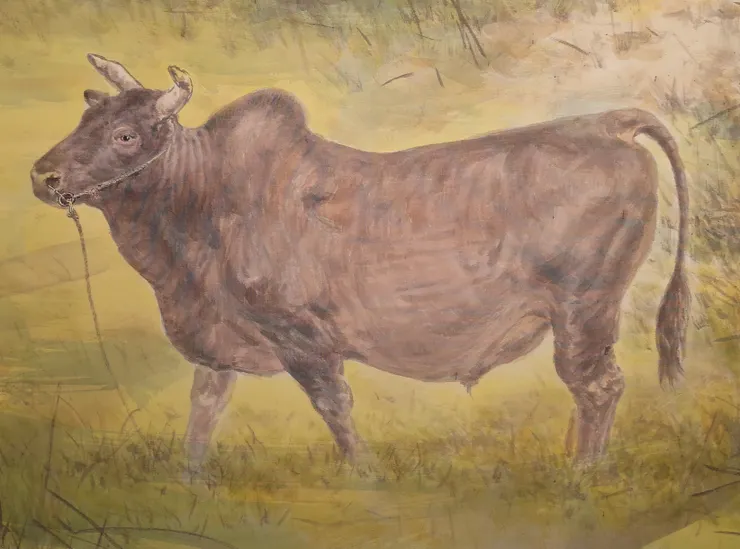 〈浯島秋韻〉局部－黃牛