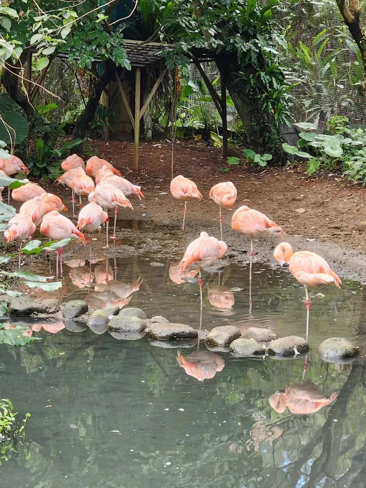 木柵動物園一隅
