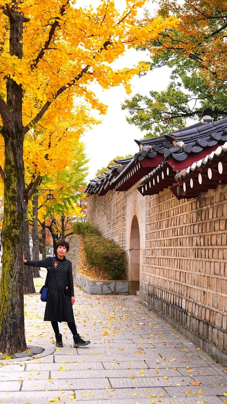 有層次的屋簷和銀杏樹