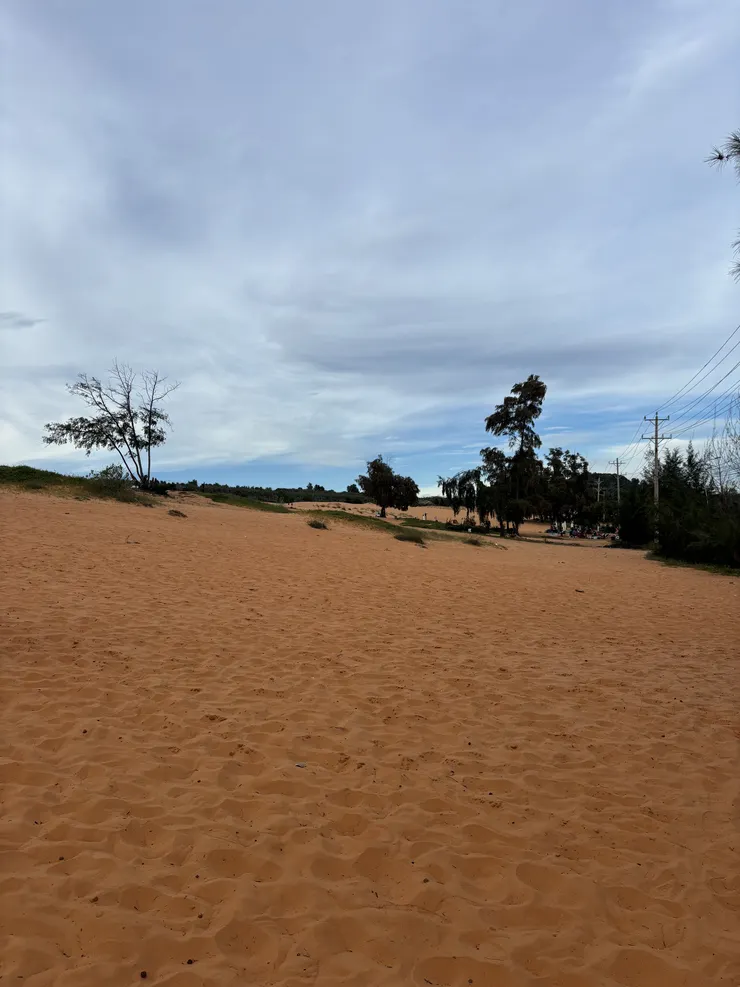 顏色更深的沙丘