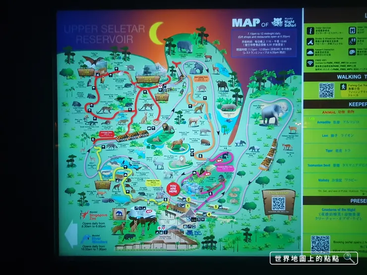 夜間動物園地圖