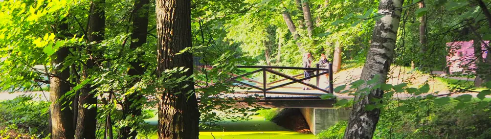 愛吃胖胖流浪德的沙龍