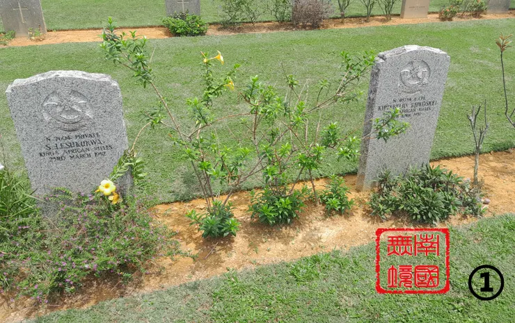 本人攝於2025年2月18日。